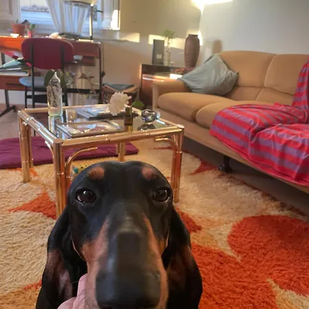 Rum i privatbostad Stanza Con Bagno Privato A Lucca